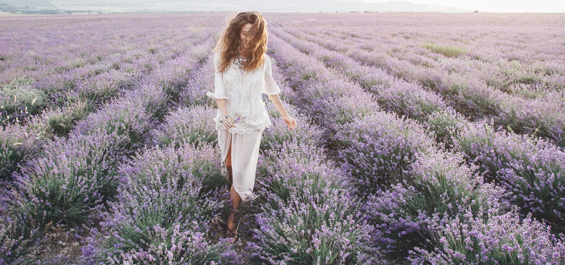 Why Choose Lavender Sleep