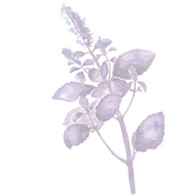 lavender watercolor